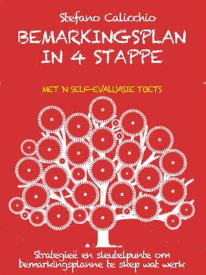 Bemarkingsplan in 4 stappe - ebook